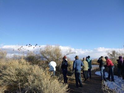 Intro to the Outdoors: Learn to Birdwatch