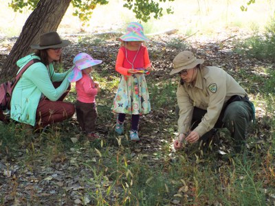 Family Nature Club: Powerful Pollinators (all ages)