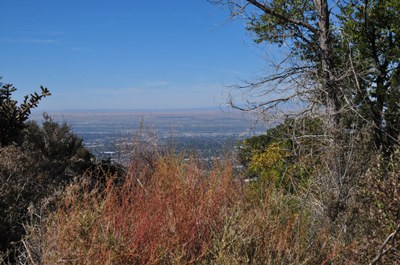 Foothills Wild Guided Hike