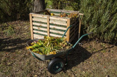 Home Composting Basics