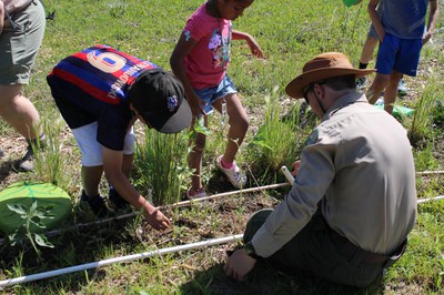 Junior Naturalist Corner