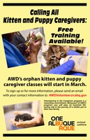 Calling All Kitten and Puppy Caregivers: Free Training Available!