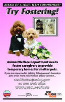 Shelter Pets Need You!