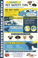 Steps to Keep Your Pets Safe in Hot Summer Months