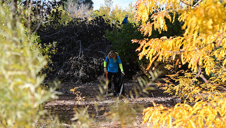 An adult wearing black leggings and a blue t-shirt looks down at the ground while holding a trash grabber and a trash bag. In the background and foreground are trees and bushes.