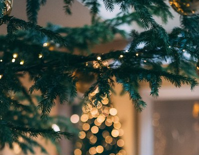 Close up of lit up Christmas tree with building in background.