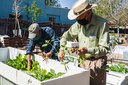 Community Garden Tile